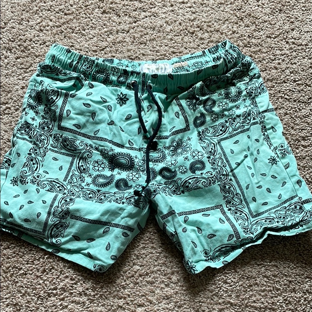 Aqua Paisley Men's Swim Shorts